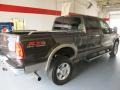Dark Stone Metallic - F350 Super Duty Lariat FX4 Crew Cab 4x4 Photo No. 6