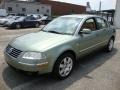 Fresco Green Metallic - Passat GLX Sedan Photo No. 2
