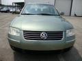 Fresco Green Metallic - Passat GLX Sedan Photo No. 3