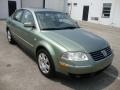 Fresco Green Metallic - Passat GLX Sedan Photo No. 4