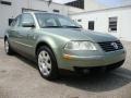 Fresco Green Metallic - Passat GLX Sedan Photo No. 5