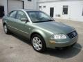 Fresco Green Metallic - Passat GLX Sedan Photo No. 6