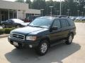 2001 Super Black Nissan Pathfinder LE  photo #1