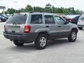 Silverstone Metallic - Grand Cherokee Laredo 4x4 Photo No. 12