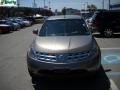 2004 Polished Pewter Metallic Nissan Murano SL AWD  photo #15