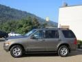 2002 Mineral Grey Metallic Ford Explorer Limited 4x4  photo #7