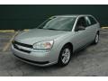 2005 Galaxy Silver Metallic Chevrolet Malibu Maxx LS Wagon  photo #1