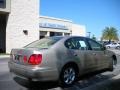 Burnished Gold Metallic - GS 300 Photo No. 6