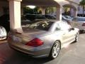 Pewter Metallic - SL 500 Roadster Photo No. 3