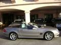 Pewter Metallic - SL 500 Roadster Photo No. 19