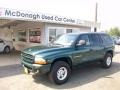 Forest Green Metallic - Durango SLT 4x4 Photo No. 2