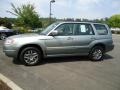 Crystal Gray Metallic - Forester 2.5 X L.L.Bean Edition Photo No. 2