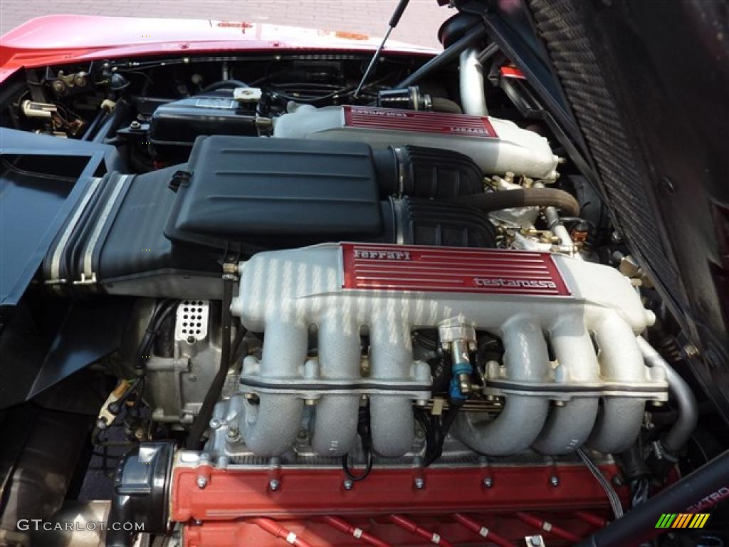 1986 Ferrari Testarossa Standard Testarossa Model 4.9 Liter DOHC 48-Valve Flat 12 Cylinder Engine Photo #34393228