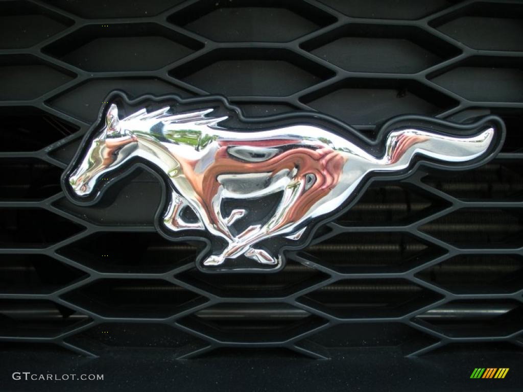 2006 Mustang GT Premium Convertible - Satin Silver Metallic / Dark Charcoal photo #14