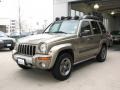 Light Khaki Metallic - Liberty Renegade 4x4 Photo No. 3