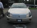 Gold Mist - CTS Sedan Photo No. 3