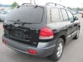 Black Obsidian - Santa Fe GLS 4WD Photo No. 2