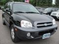 Black Obsidian - Santa Fe GLS 4WD Photo No. 16