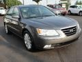 Willow Gray - Sonata Limited V6 Photo No. 1