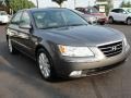 2009 Willow Gray Hyundai Sonata Limited V6  photo #1