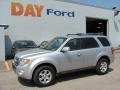 2010 Ingot Silver Metallic Ford Escape Limited V6 4WD  photo #1