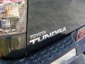 2007 Timberland Mica Toyota Tundra SR5 TRD Double Cab 4x4  photo #6