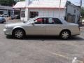 Light Platinum - DeVille Sedan Photo No. 5