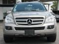 Pewter Metallic - GL 450 Photo No. 2