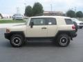 Sandstorm - FJ Cruiser 4WD Photo No. 4