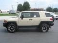 2010 Sandstorm Toyota FJ Cruiser 4WD  photo #4