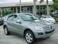 2010 Palladium Silver Metallic Mercedes-Benz ML 350  photo #1