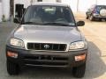Quicksilver - RAV4 4WD Photo No. 2