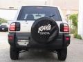 Quicksilver - RAV4 4WD Photo No. 10