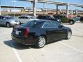 Black Raven - CTS 3.0 Sedan Photo No. 5