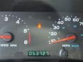 Light Khaki Metallic - Wrangler Unlimited 4x4 Photo No. 13
