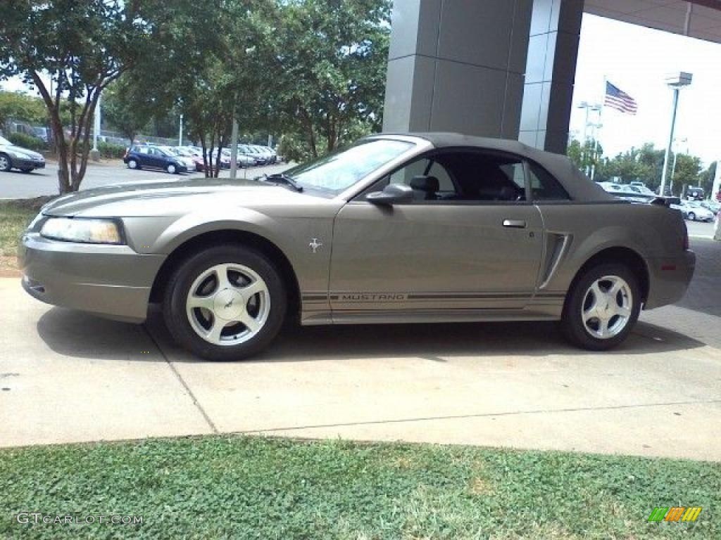2001 Mustang V6 Convertible - Mineral Grey Metallic / Dark Charcoal photo #18
