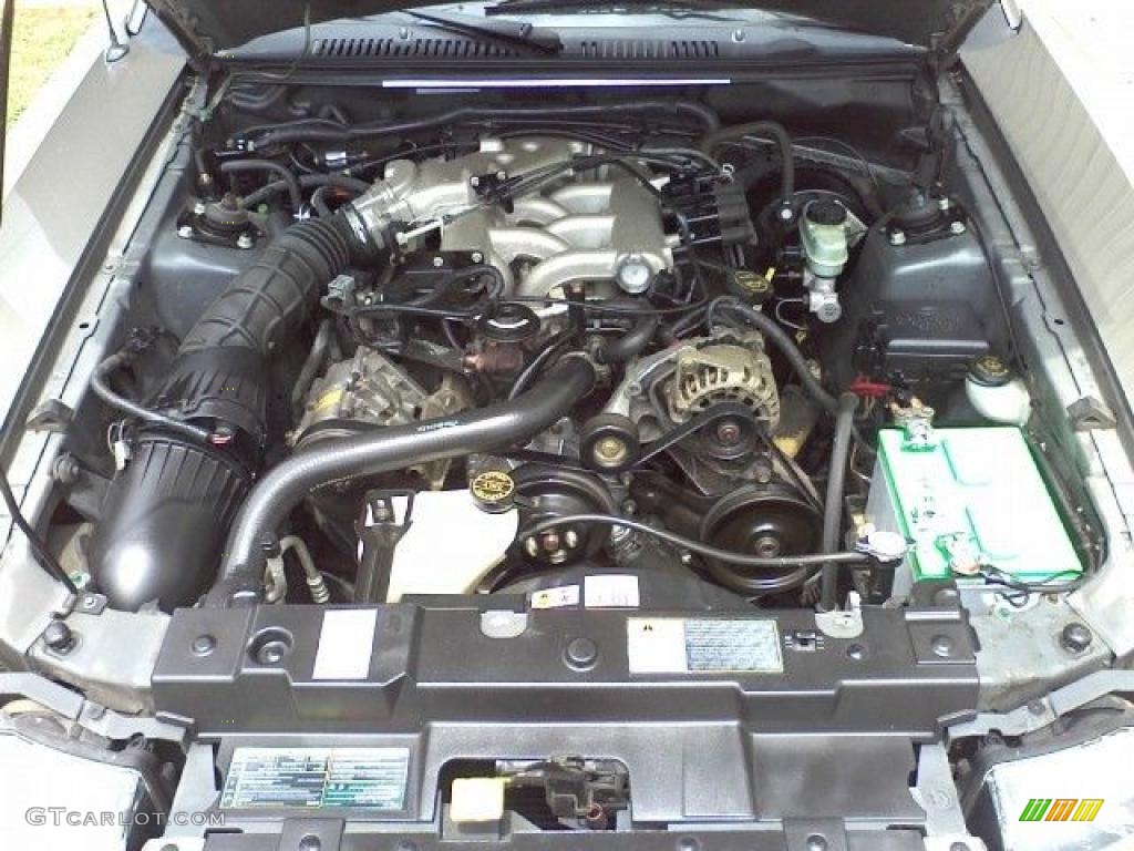 2001 Mustang V6 Convertible - Mineral Grey Metallic / Dark Charcoal photo #19