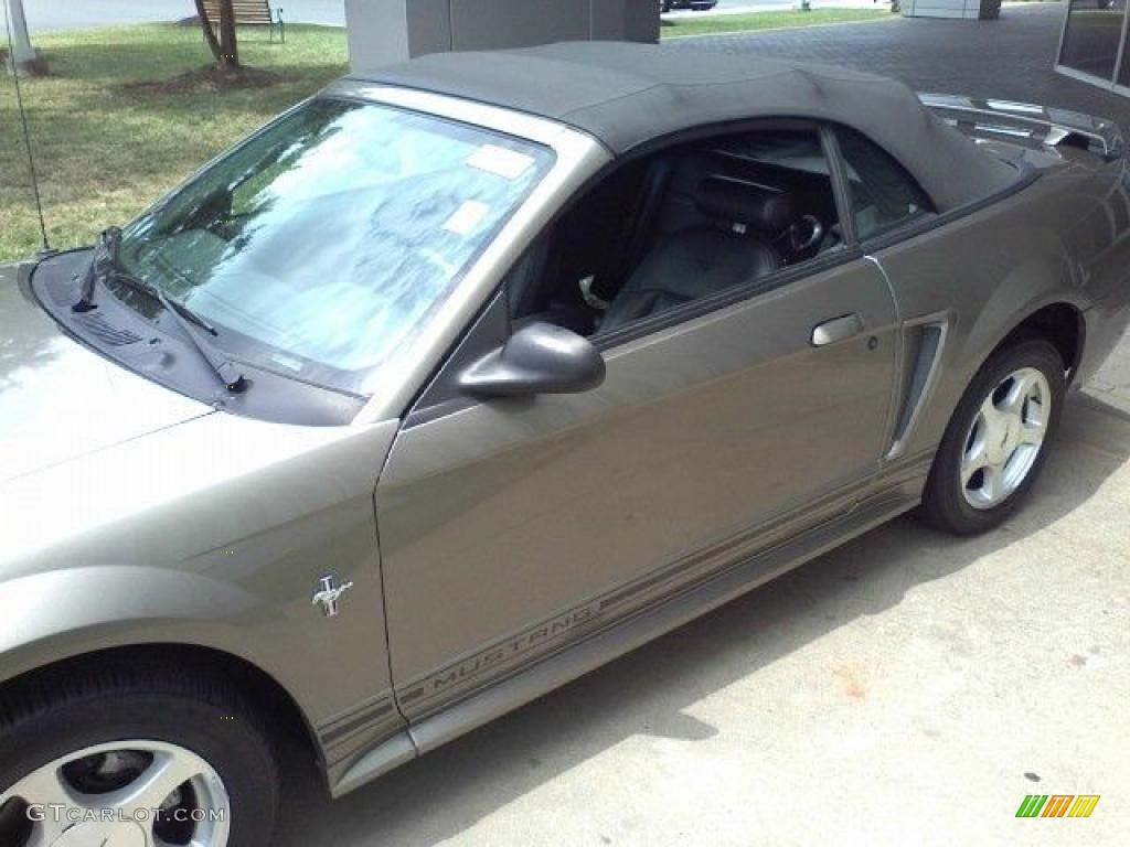 2001 Mustang V6 Convertible - Mineral Grey Metallic / Dark Charcoal photo #20