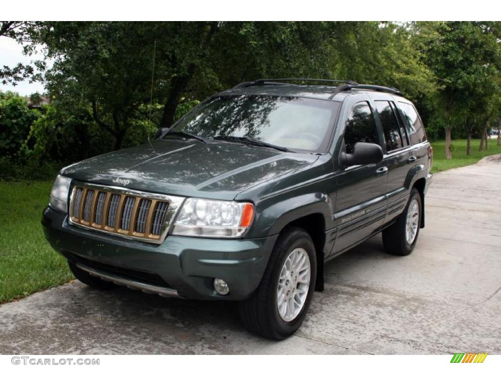 2004 Grand Cherokee Limited 4x4 - Onyx Green Pearl / Taupe photo #1
