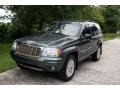 Onyx Green Pearl 2004 Jeep Grand Cherokee Limited 4x4