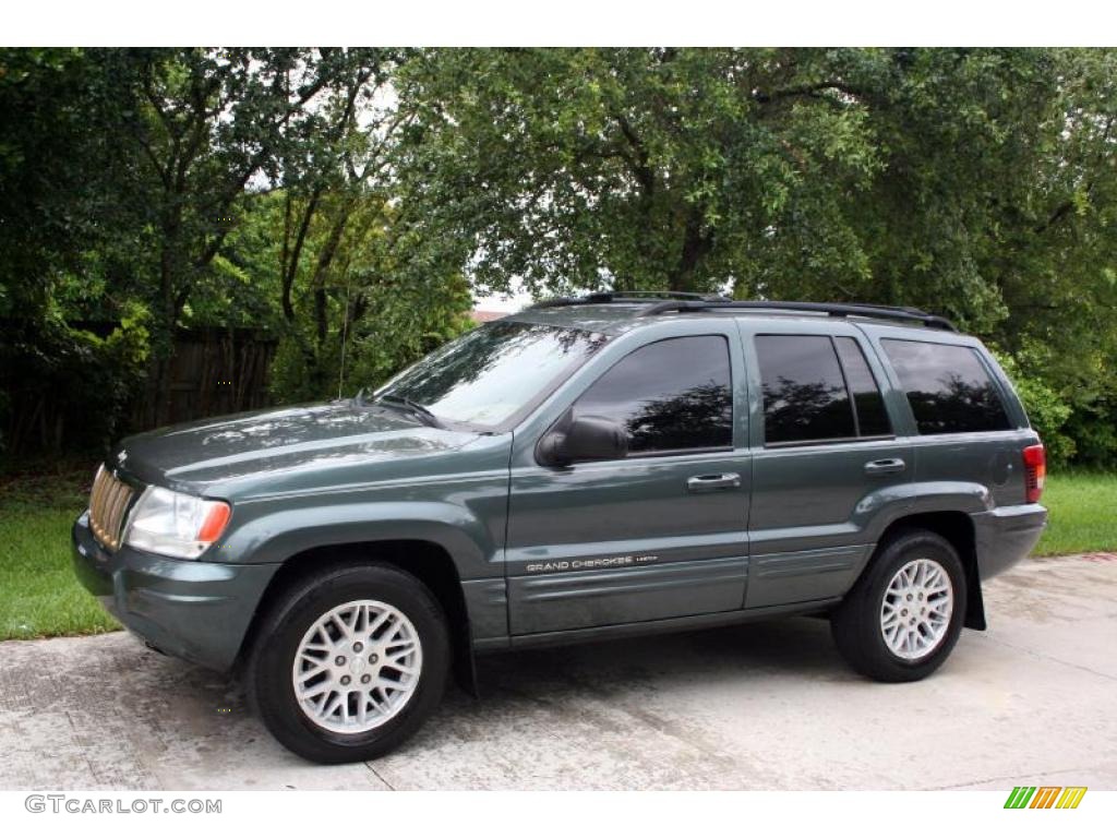 2004 Grand Cherokee Limited 4x4 - Onyx Green Pearl / Taupe photo #2