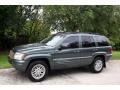 2004 Onyx Green Pearl Jeep Grand Cherokee Limited 4x4  photo #2