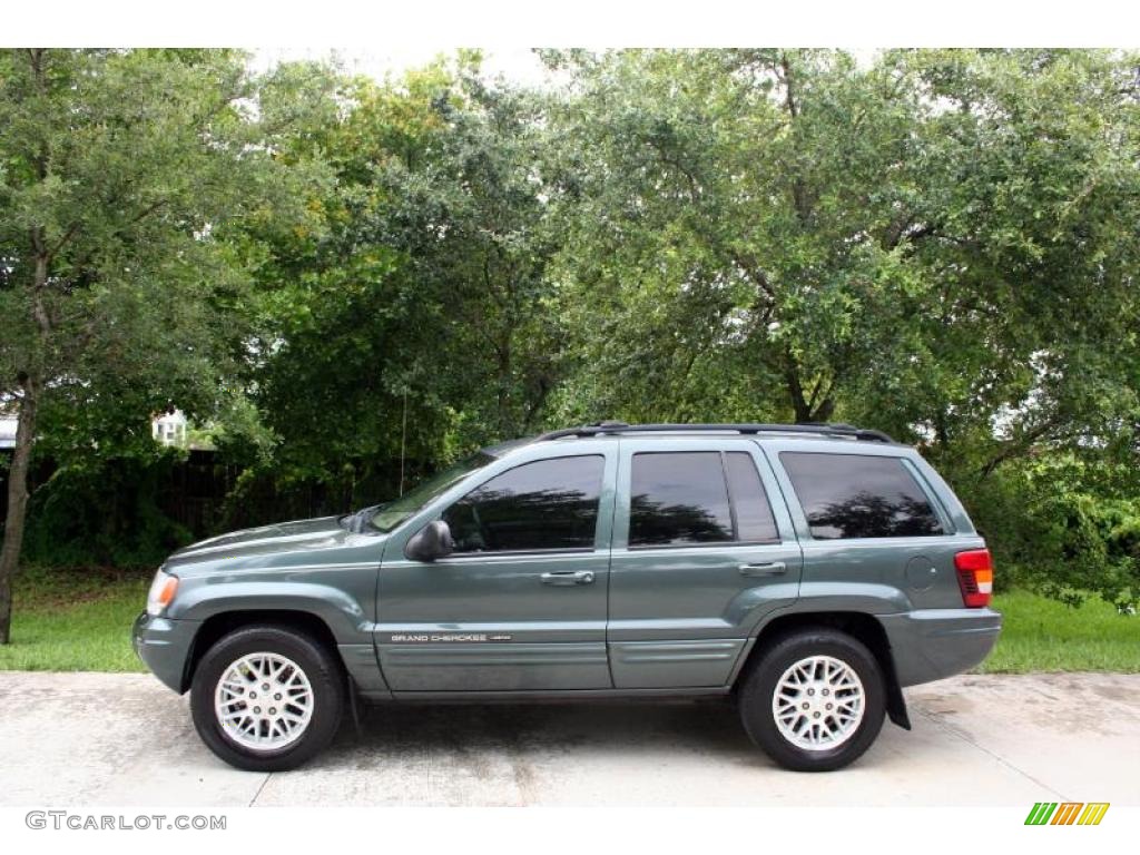 2004 Grand Cherokee Limited 4x4 - Onyx Green Pearl / Taupe photo #3