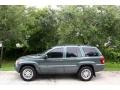 2004 Onyx Green Pearl Jeep Grand Cherokee Limited 4x4  photo #3