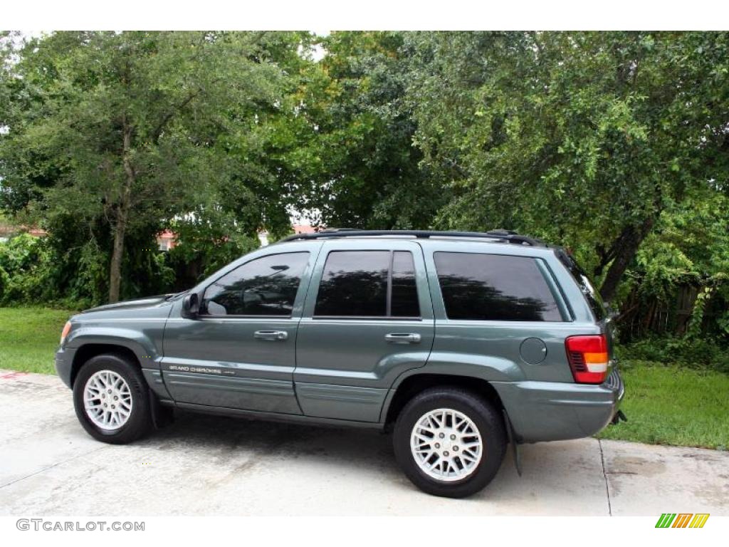 2004 Grand Cherokee Limited 4x4 - Onyx Green Pearl / Taupe photo #4