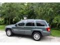 2004 Onyx Green Pearl Jeep Grand Cherokee Limited 4x4  photo #4