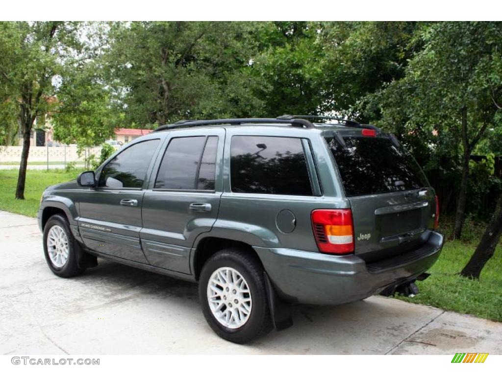 2004 Grand Cherokee Limited 4x4 - Onyx Green Pearl / Taupe photo #5