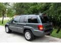 2004 Onyx Green Pearl Jeep Grand Cherokee Limited 4x4  photo #5
