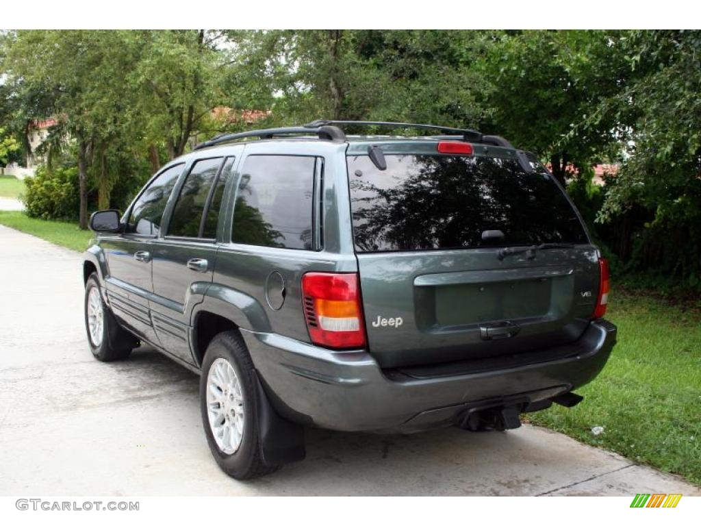 2004 Grand Cherokee Limited 4x4 - Onyx Green Pearl / Taupe photo #6