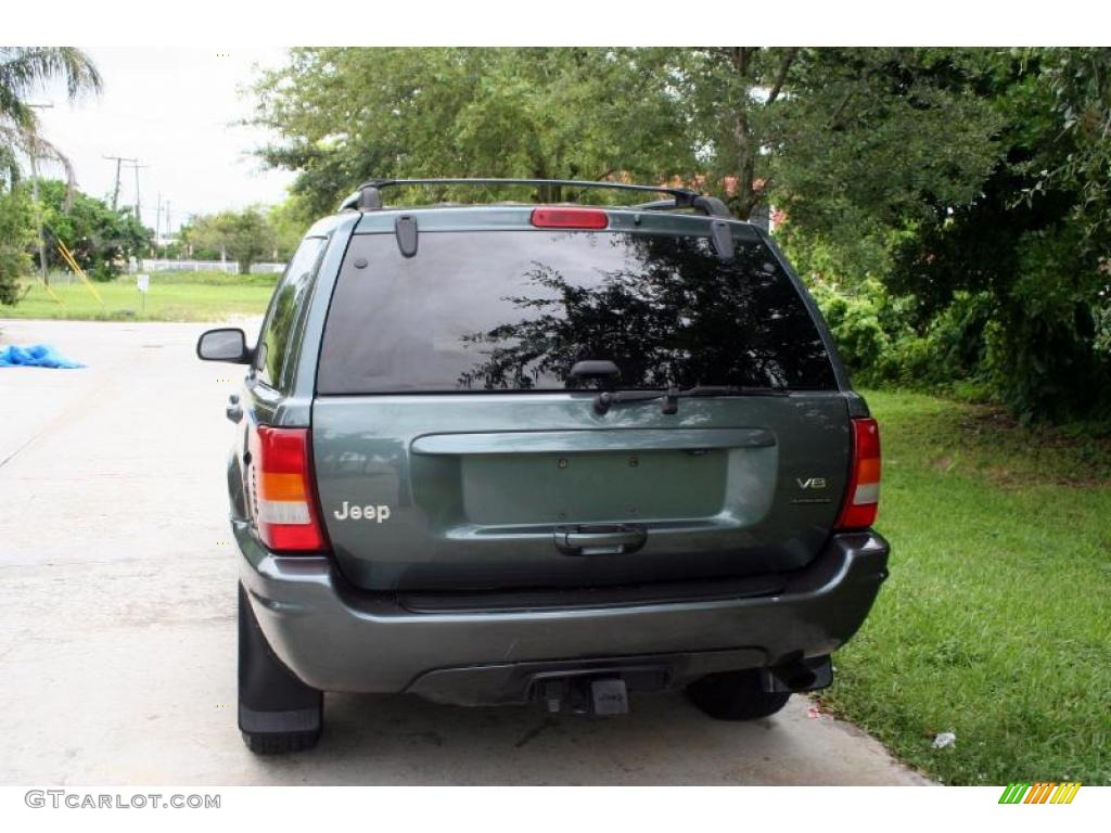 2004 Grand Cherokee Limited 4x4 - Onyx Green Pearl / Taupe photo #7